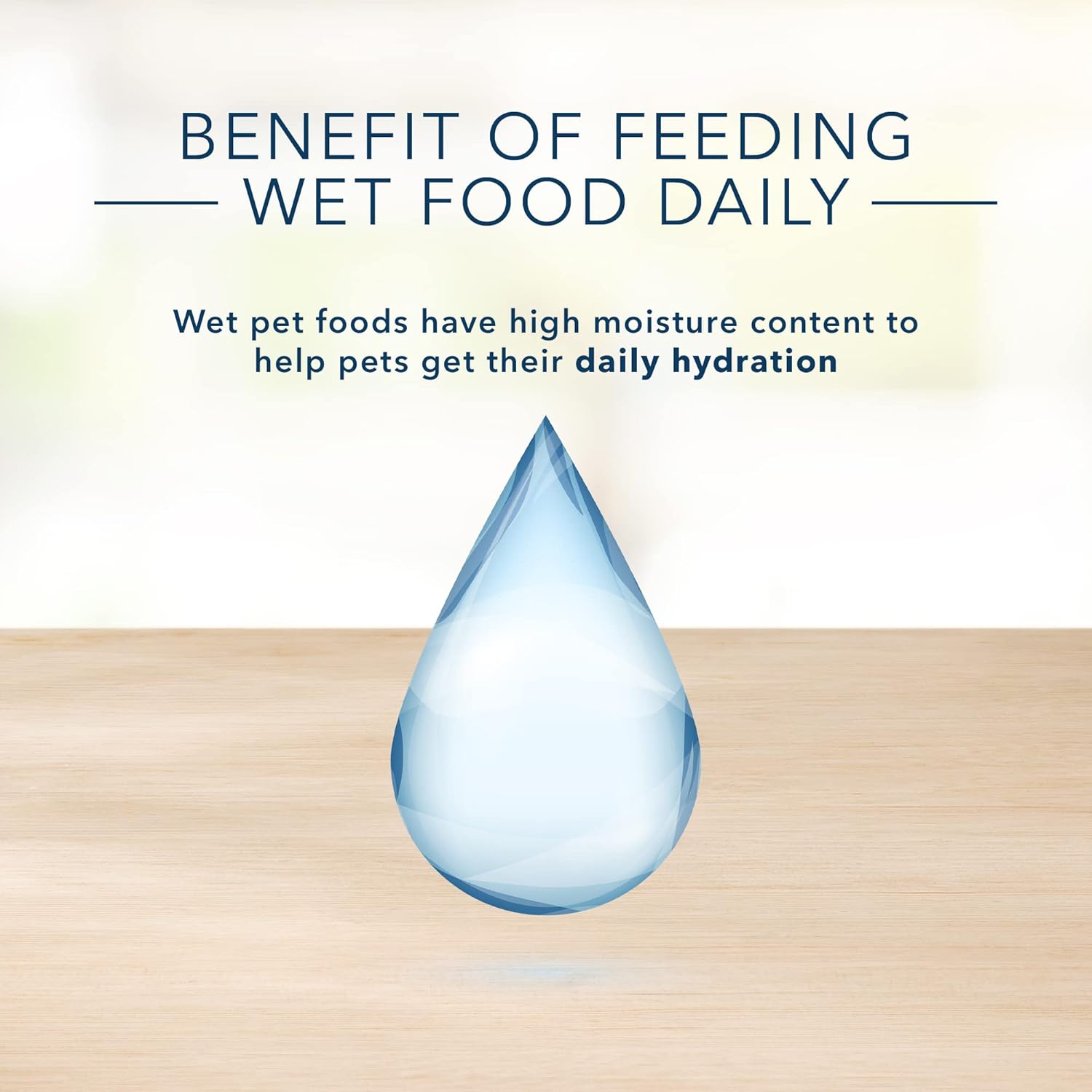 Blue Buffalo Basics Skin & Stomach Care, alimento húmedo natural para perros adultos, sin granos, latas de pescado blanco, latas de 12.5 onzas