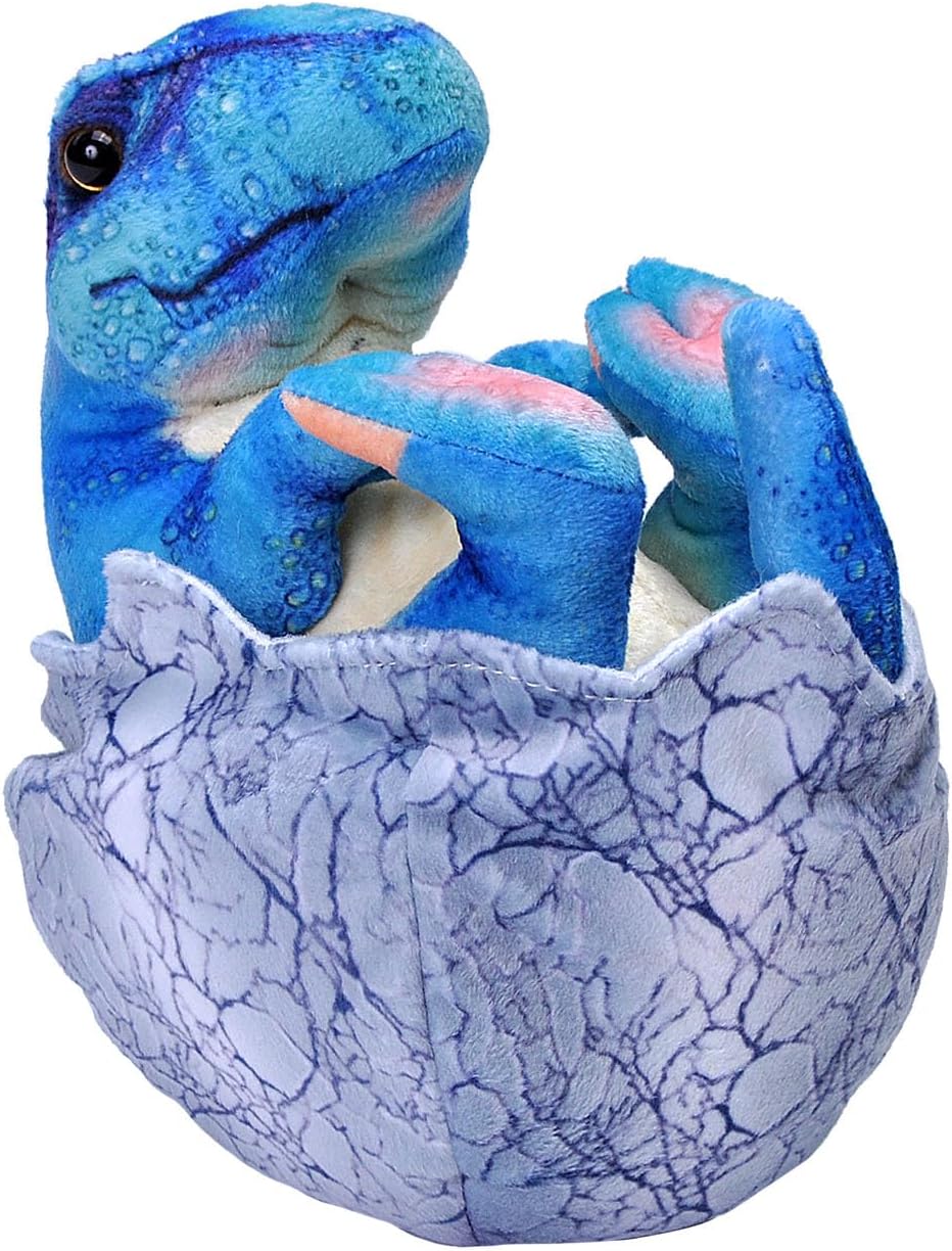 WILD REPUBLIC Dinosaurio bebé estegosaurio en un huevo, regalo para niños, juguete de peluche, relleno es hilado botellas de agua recicladas, 8