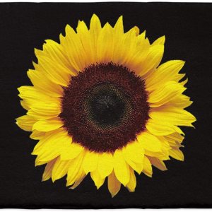 Alfombra de baño, alfombra de baño de girasol amarillo fresco, antideslizante, de microfibra suave, peluda, para ducha, 32 x 20 pulgadas Alfombra de baño, alfombra de baño de girasol amarillo fresco, antideslizante, de microfibra suave, peluda, para ducha, 32 x 20 pulgadas