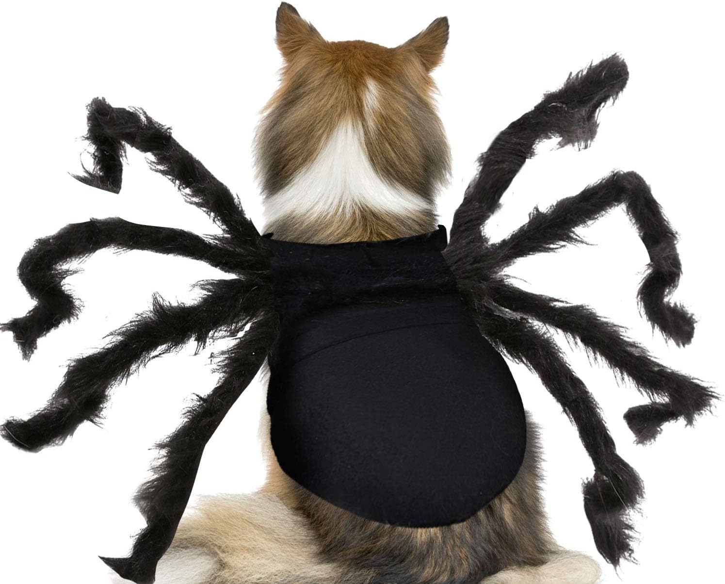 Disfraz de Halloween para mascotas, perros, sudadera de arañas, ropa de cosplay, ropa para mascotas, perros, Halloween, divertido, perro, cachorro,