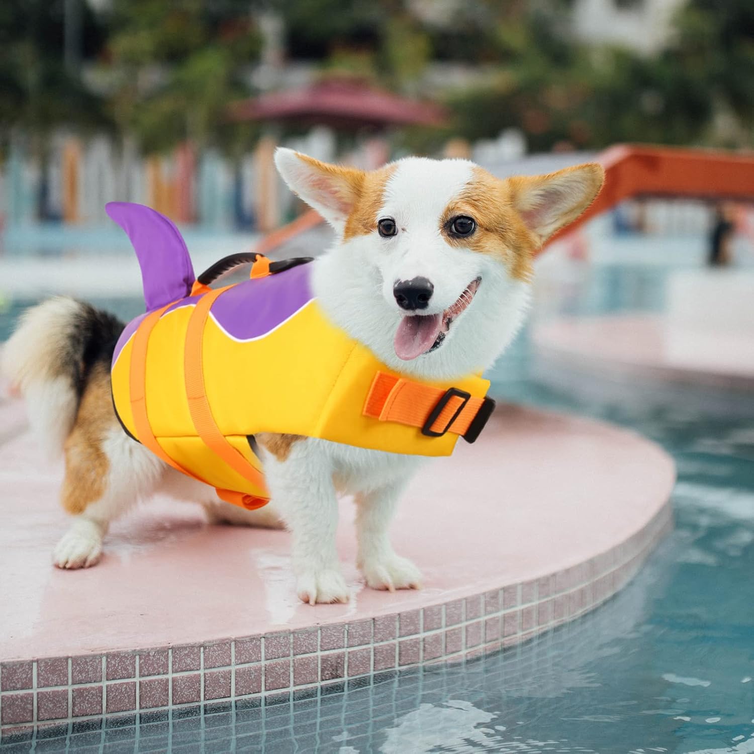 ASENKU Chaleco salvavidas para perros y mascotas, chaleco salvavidas de seguridad para nadar en barco, chalecos salvavidas para perros y tiburones,