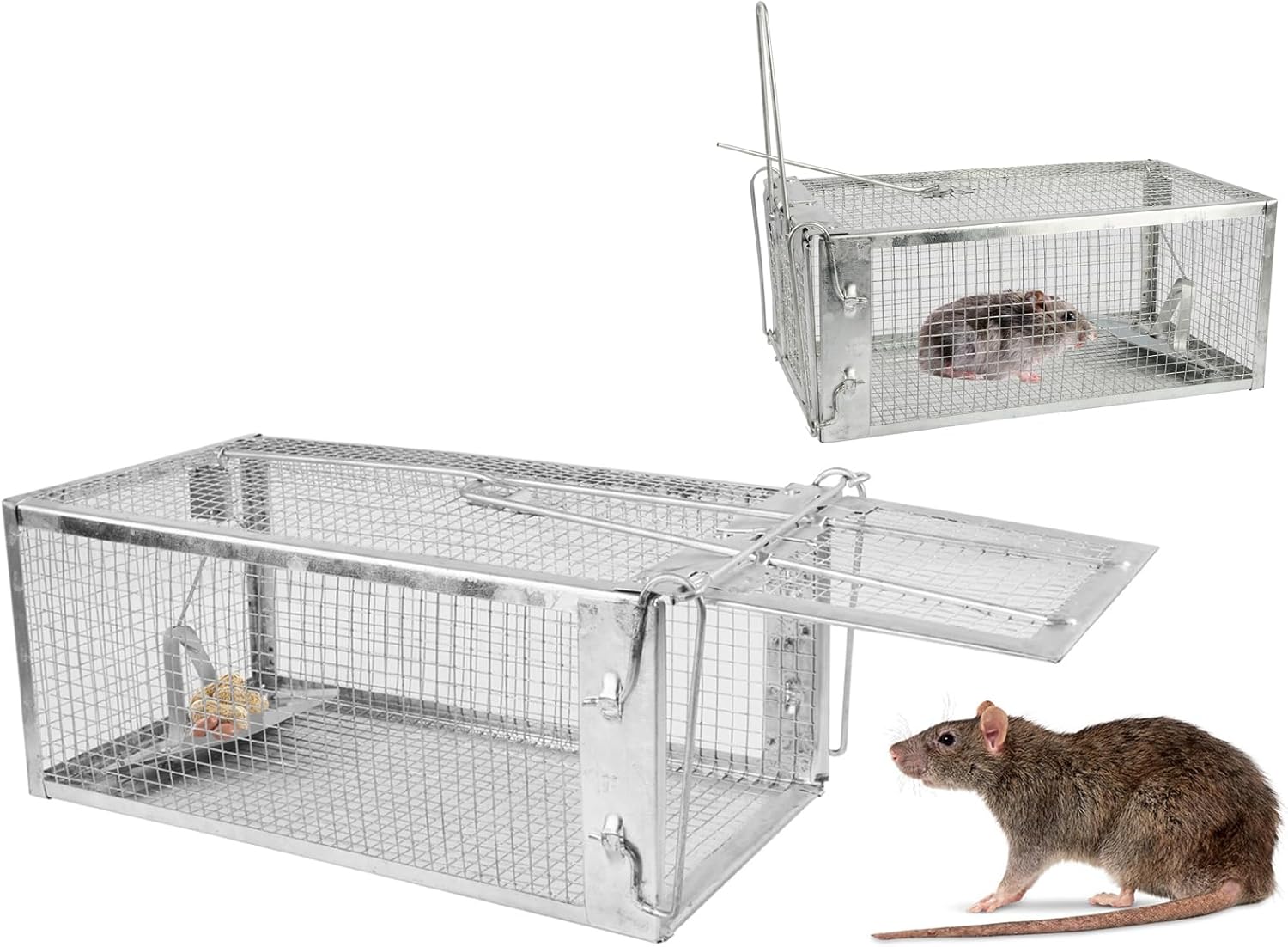 Trampa humana para ratas, pequeña trampa de ardilla viva de 1 puerta que funciona para interiores y exteriores, fácil de atrapar y liberar trampa de