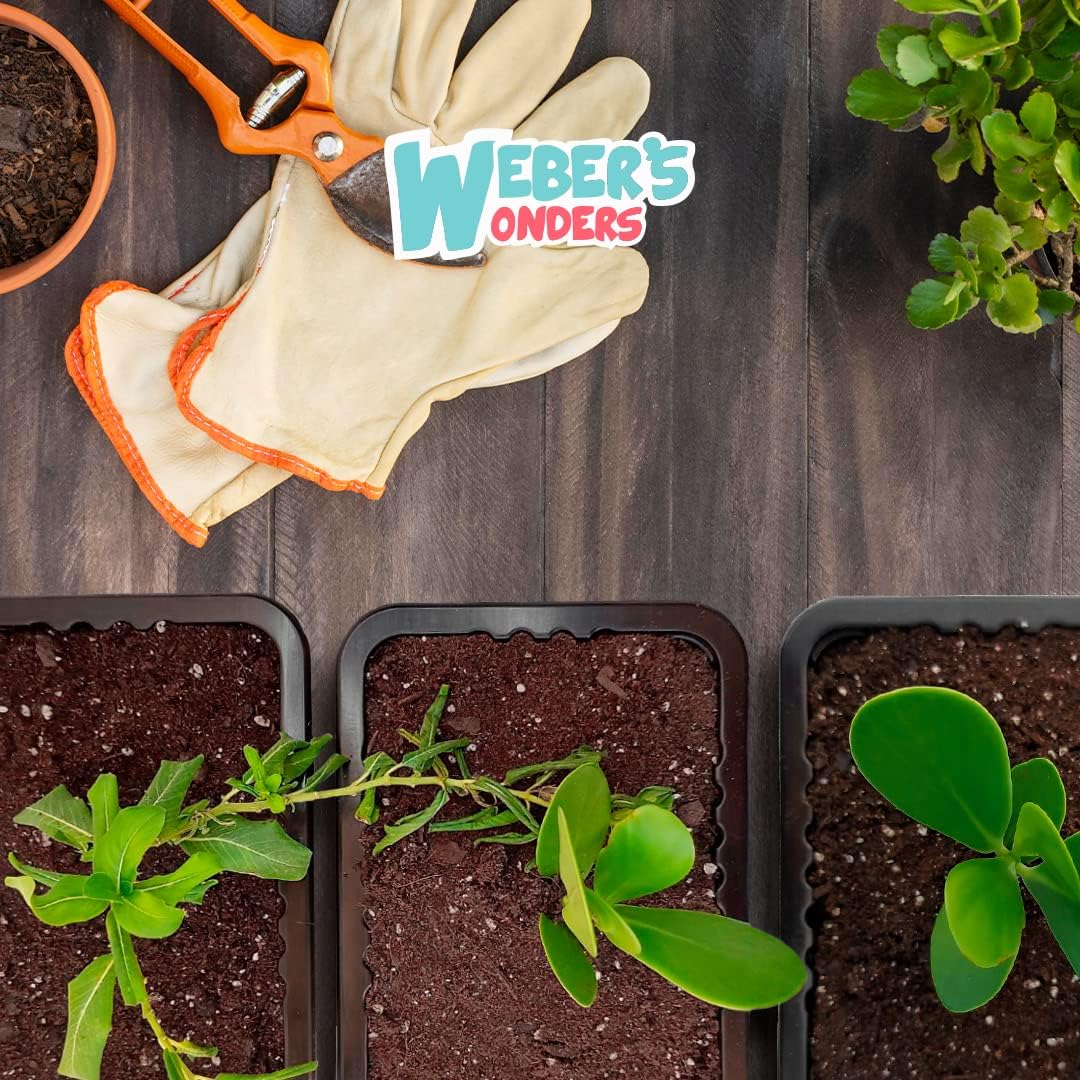 Weber’s Wonders Paquete de 10 bandejas de cultivo de plantas, sin agujeros de drenaje, bandejas perfectas para semillas de jardín, bandejas de