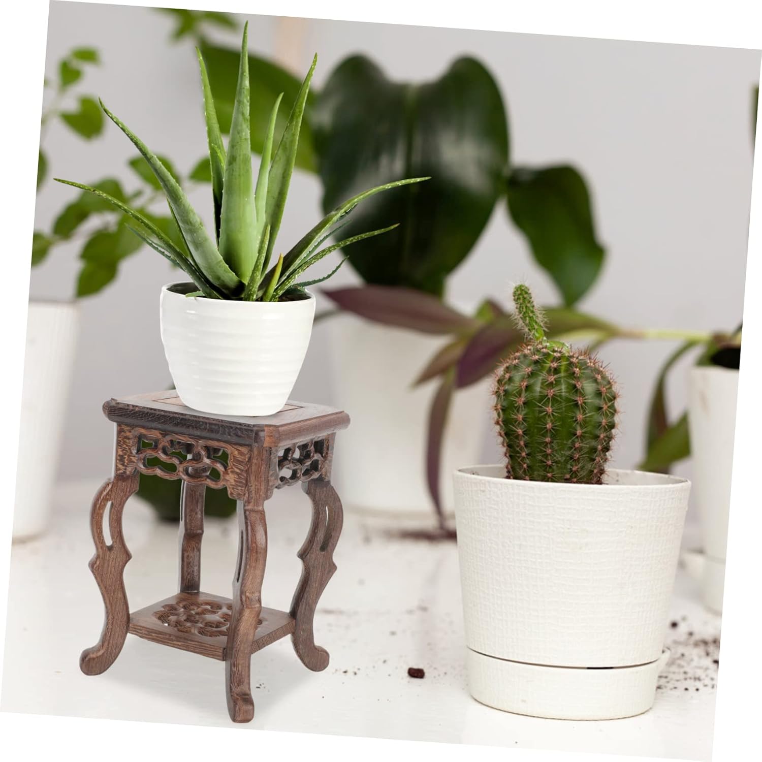 DOITOOL Base de maceta con base de wengué, soporte de madera para plantas, estante para plantas, taburete de madera para interiores, soporte para