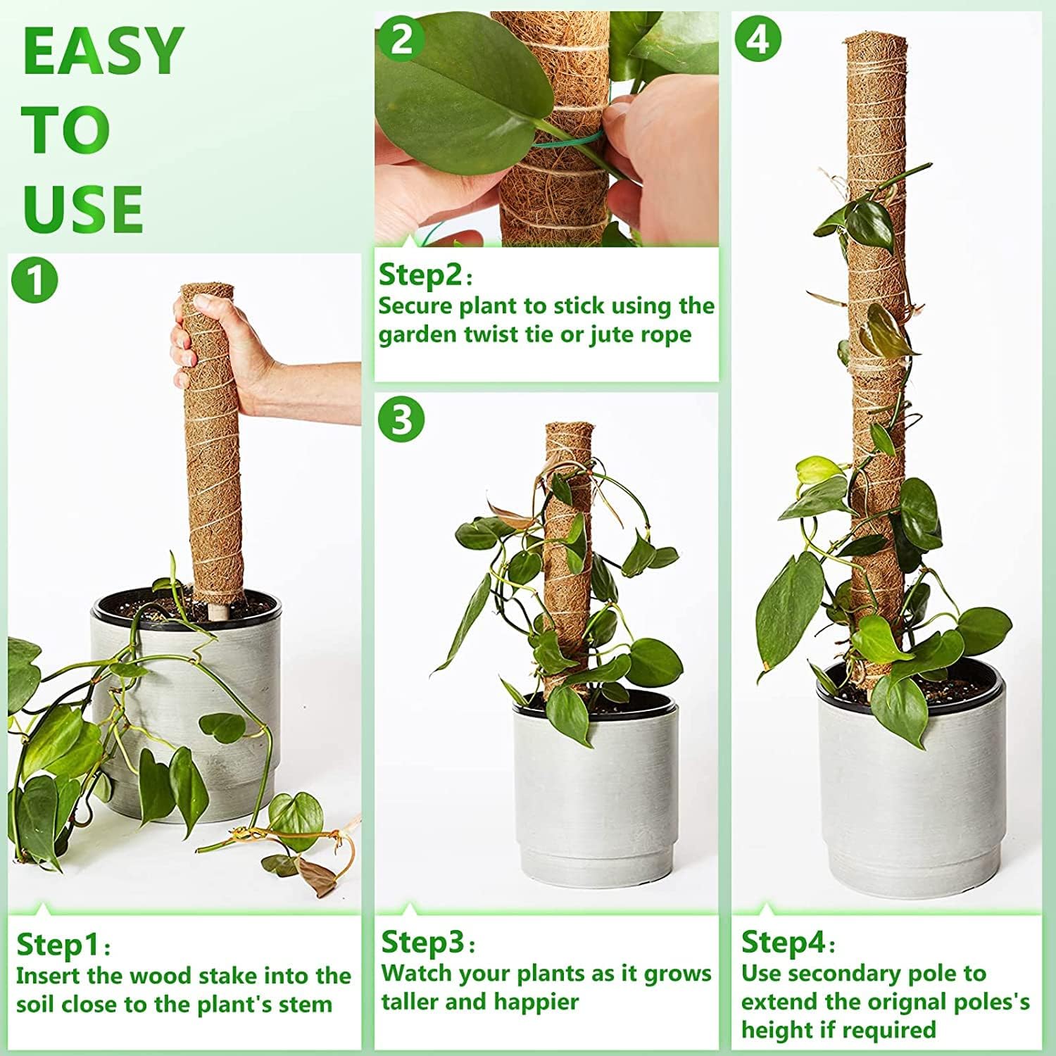 Poste de musgo de 56 pulgadas, 4 piezas de soporte para plantas Monstera de poste de musgo, palo de tótem de coco de 17.7 pulgadas para plantas