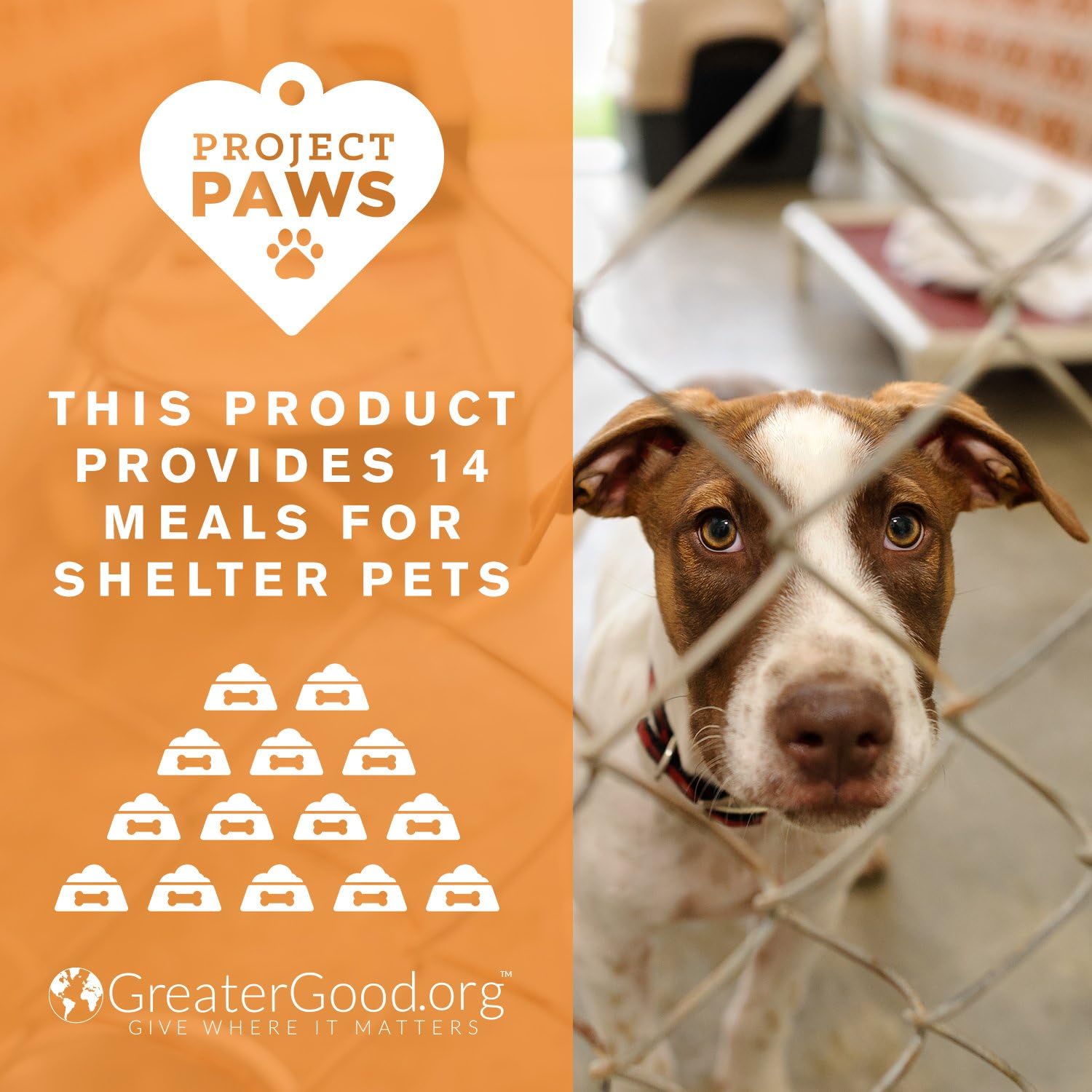 Project Paws Aceite de pescado Omega 3-6-9 Select para perros, suplemento para piel y pelaje de aceite de krill, 60 unidades