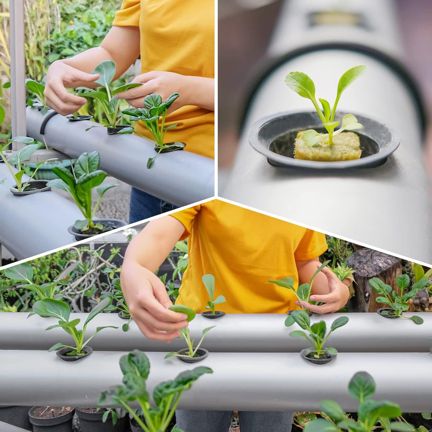 Paquete de 500 macetas de red hidropónica de 2 pulgadas, copas de red de malla ranurada para sistema de cultivo de plantas, cestas de riego