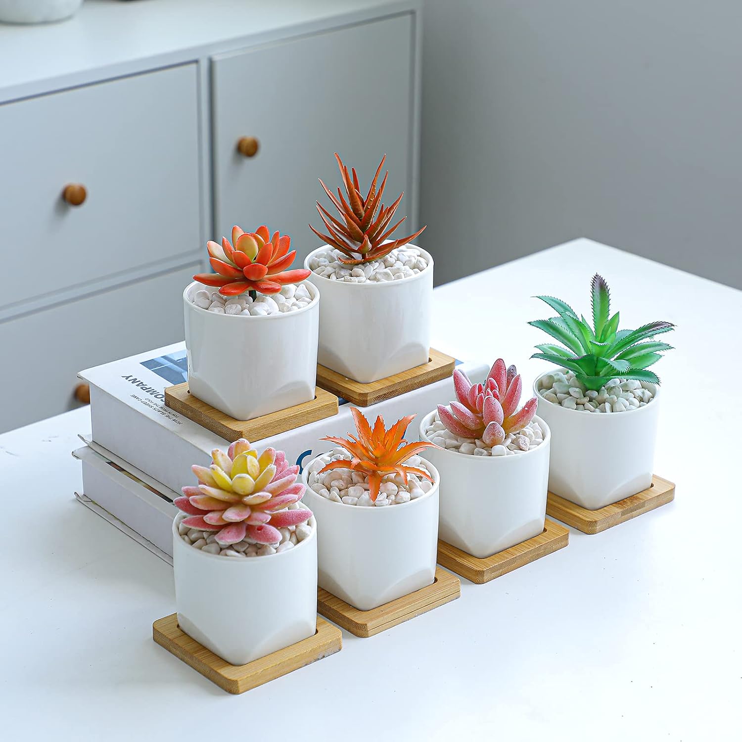 ARTKETTY Macetas para suculentas, macetas pequeñas de 3 pulgadas con bandejas de drenaje, juego de 6, macetas de cerámica para plantas de interior,
