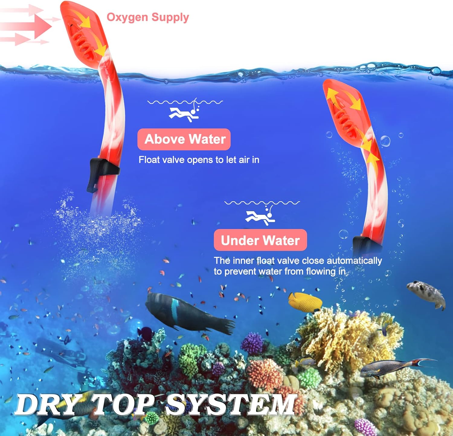 Kids Snorkel Set Dry Top Snorkeling Gear for Kids Youth Boys Girls Junior Age 5-15,Tempered Glass Swimming Diving Mask and Snorkel Set 180 Degree