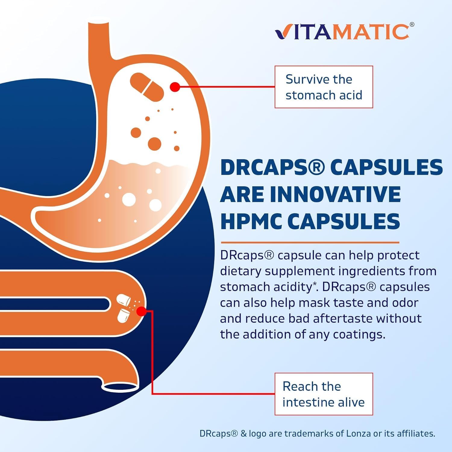 Vitamatic Bacillus Subtilis 10 mil millones por cápsula DR  60 unidades  Apoyo digestivo, intestinal e inmunitario  Fabricado con fibra de inulina
