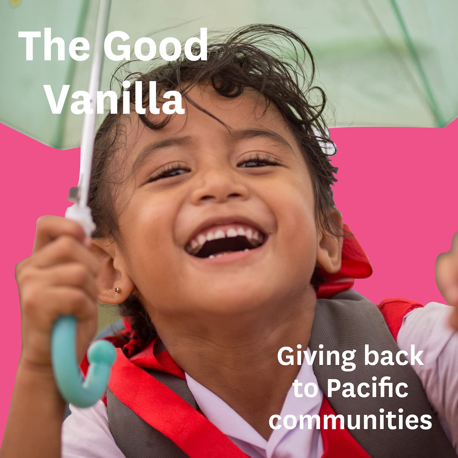Granos de vainilla de grado A enteros  Vainilla, vainas de vainilla utilizadas por los mejores chefs y panaderos del mundo, granos de vainilla para