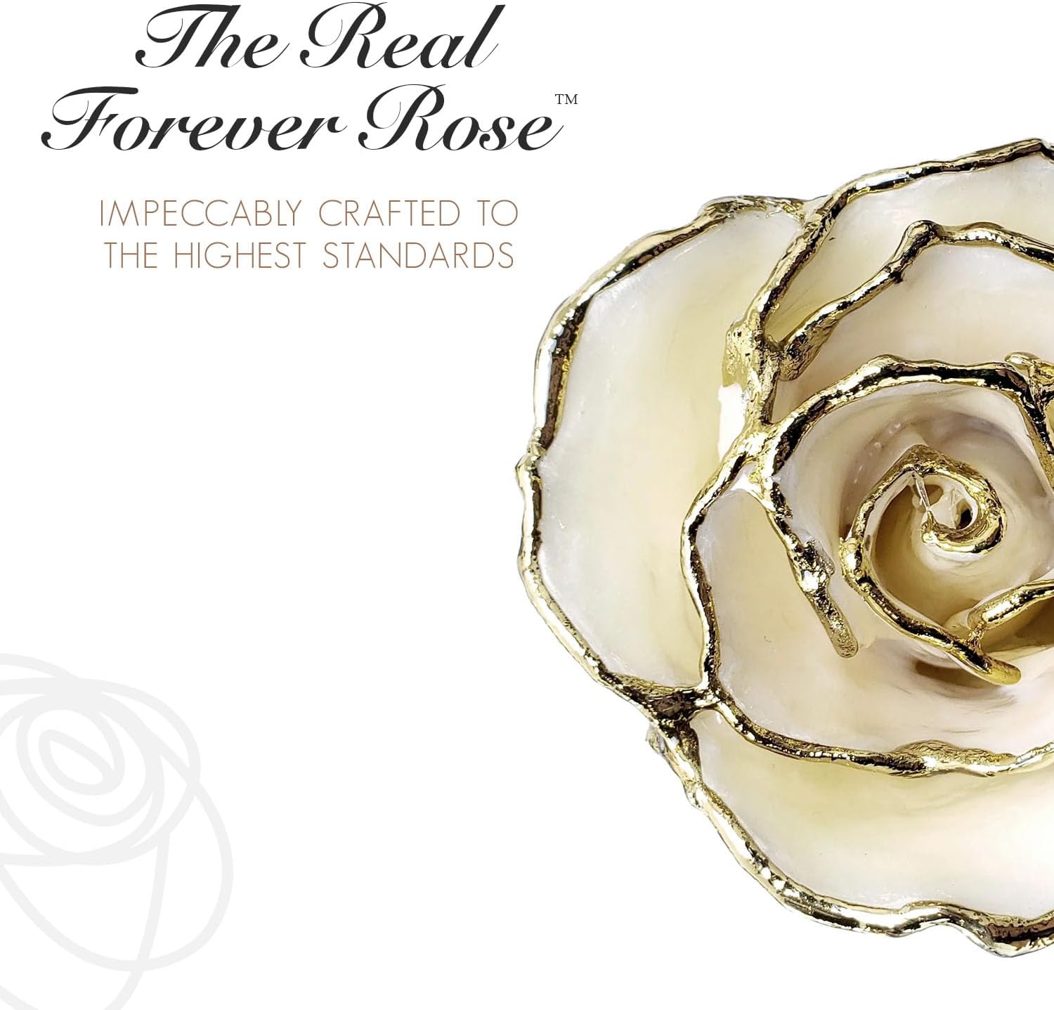 Forever Rose Rosa perla blanca bañada en oro de 24 quilates, piedra natal de junio, una rosa única y eterna perla blanca real bañada en oro de 24