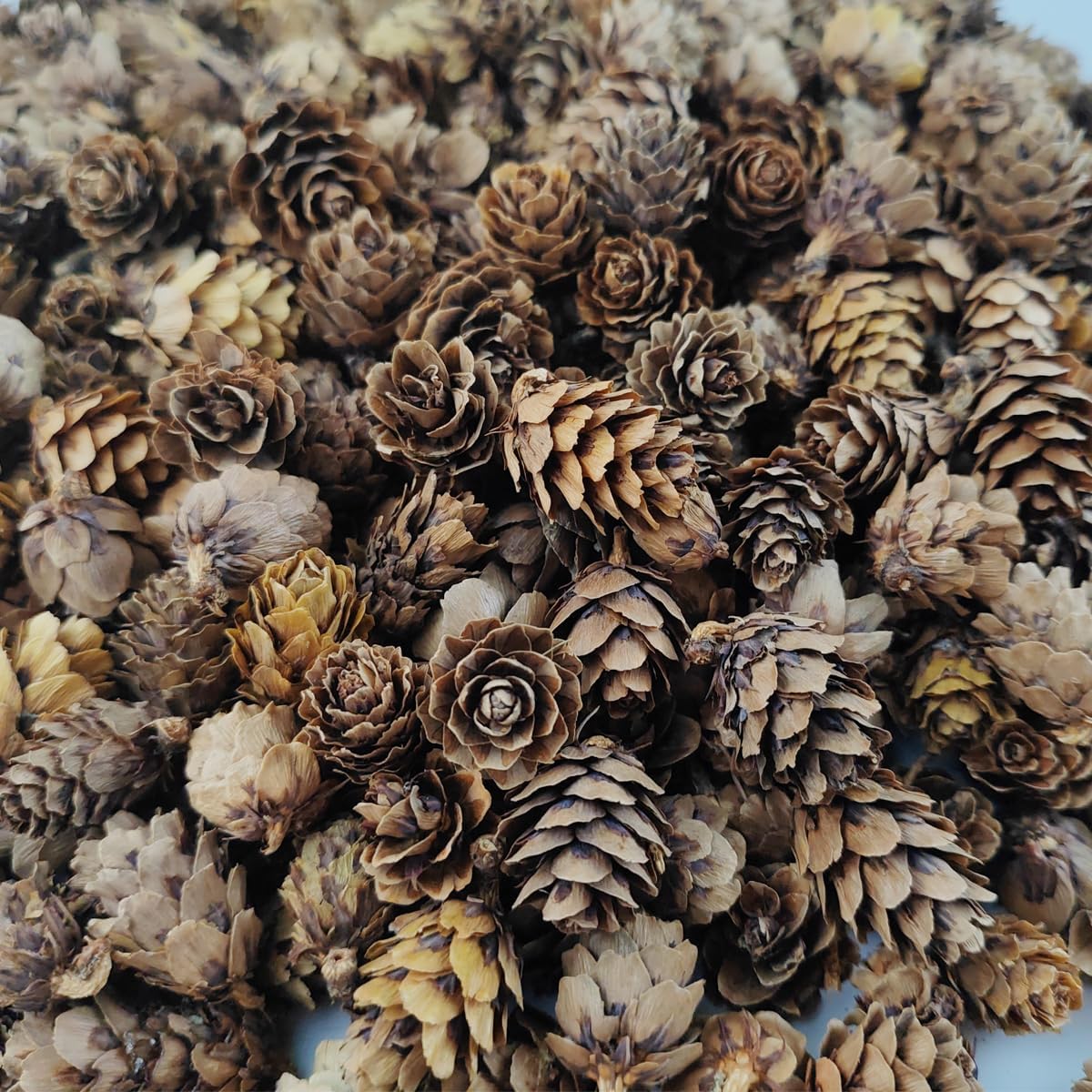 TIHOOD 320 minipiñas naturales de Navidad de 1.18 a 1.97 pulgadas a granel, adornos de piñas naturales de Navidad para manualidades, decoración del