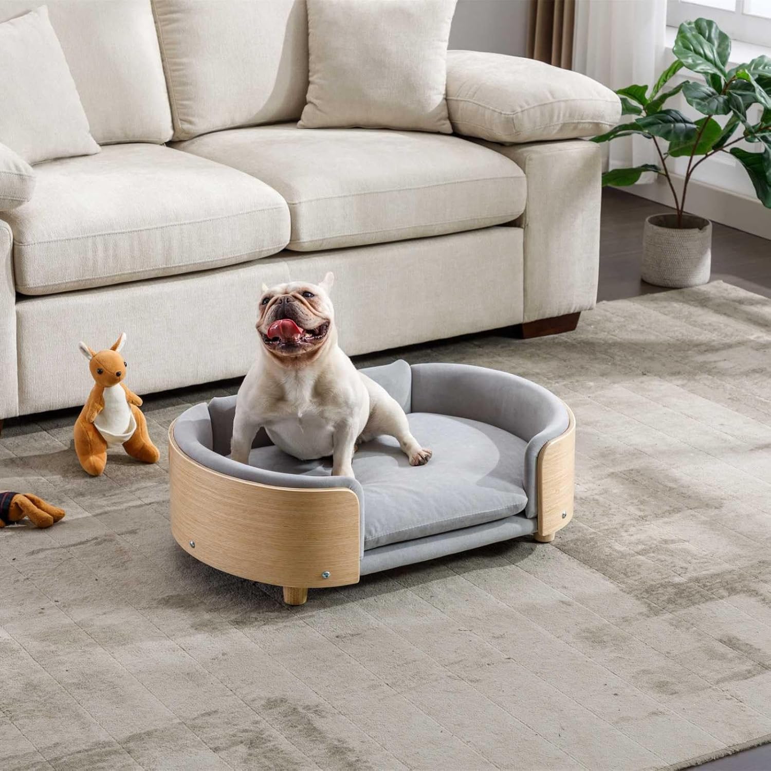 Cama de terciopelo para perro, sofá para mascotas con patas de madera maciza y respaldo de madera doblada, cojín resistente a las manchas en varios