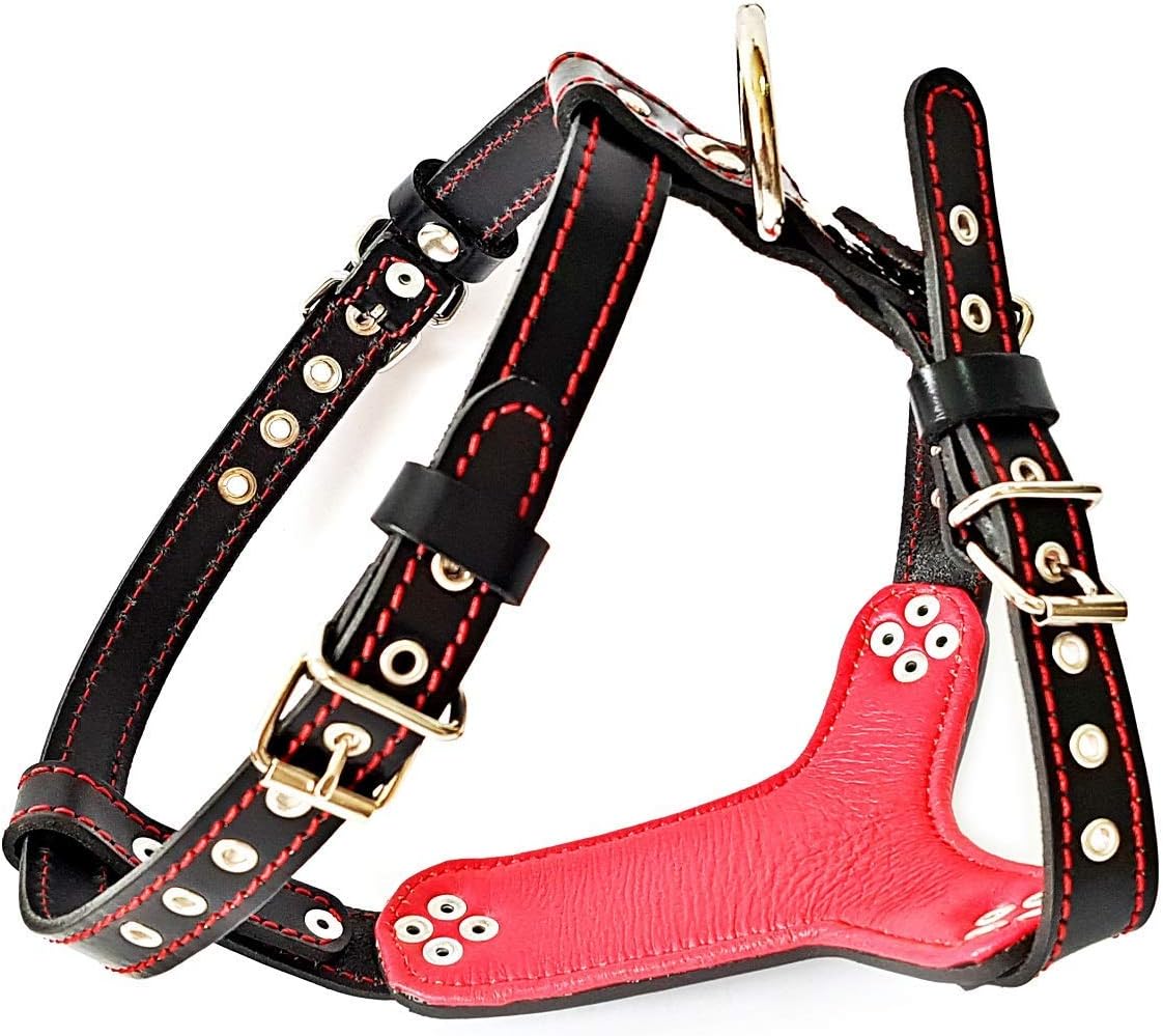 Bestia Arnés de cuero con tachuelas. Talla Bulldog Francés. 100% cuero. Hecho a mano en Europa