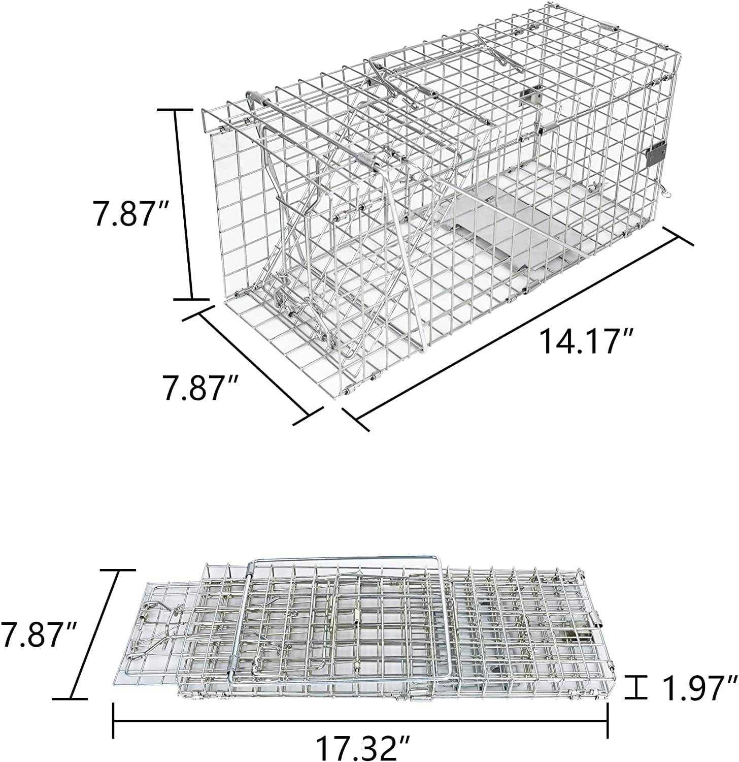 H&B Luxuries Trampa para ratas jaula de animales vivos para ratas, hámster, topo, comadreja, ardillas y más roedores (2 medianos)