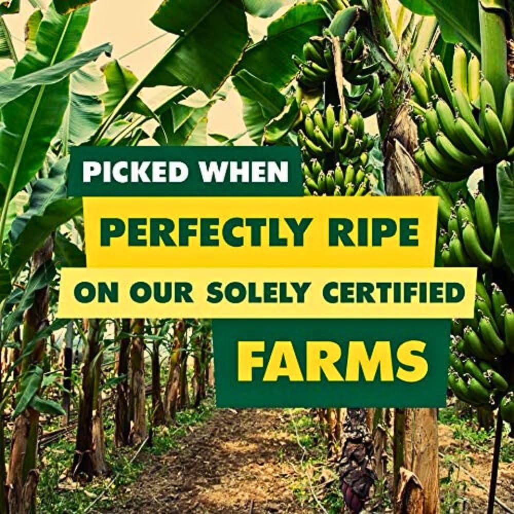 Paquete de 3 unidades de 3 unidades de frutas secas únicamente secas  1 de cada sabor (anillos de piña exclusivamente orgánicos de 5.5 onzas,