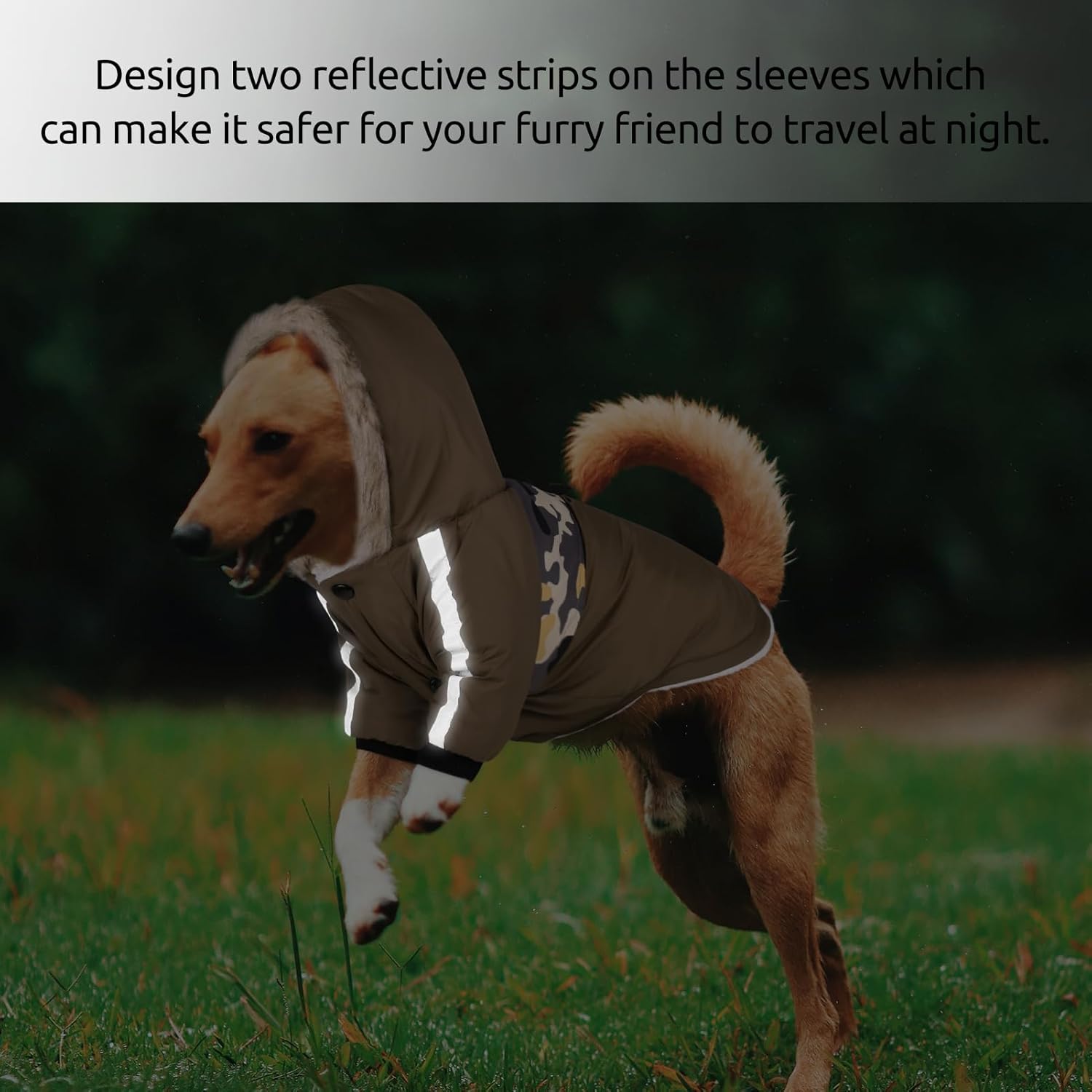 Queenmore Abrigo cálido de invierno para perro, impermeable para clima frío, chaqueta de nieve para perro, sudadera reflectante con capucha para