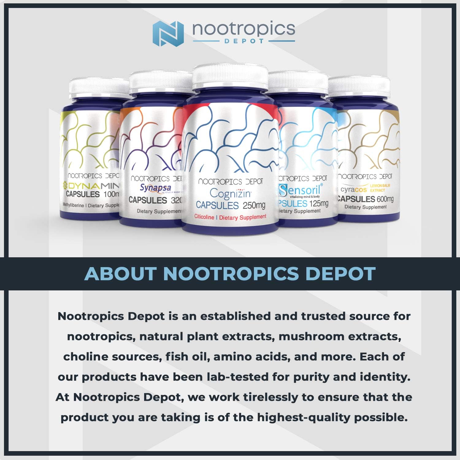 Nootropics Depot Magtein Magnesio L-treonato en polvo  4.23 oz  Suplemento mineral, natural  Apoya la función mitocondrial, función cognitiva