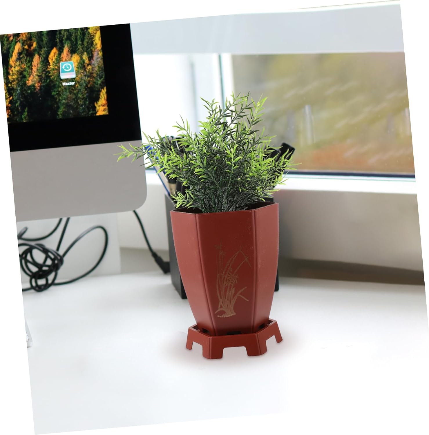 Yardwe 6 Pcs Orchid Pot Orchid Planter Plant Basket Succulent Containers Self Watering Planter Pot Nursery Pot Orchild Plant Pot Succulent Holder