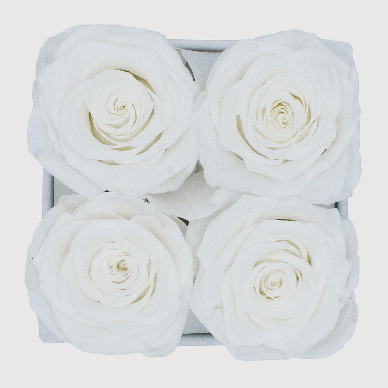 Graceful Fleurs  Rosas reales preservadas que duran años, flores frescas para entrega de primer cumpleaños, regalos de cumpleaños para mujeres,