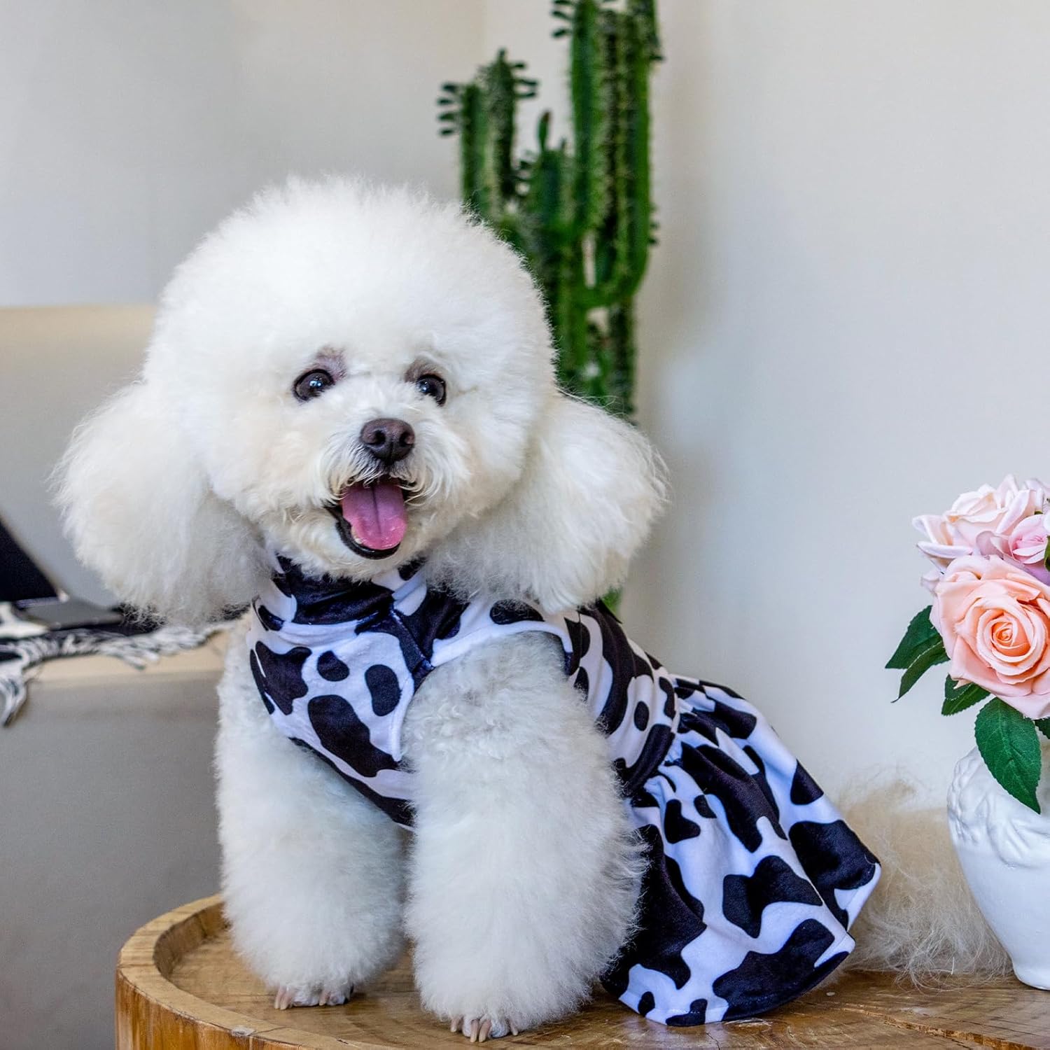 CuteBone Vestido de terciopelo para perro de cuello alto, falda de cachorro, disfraz de falda para mascotas, ropa para gatos con lazo para el pelo