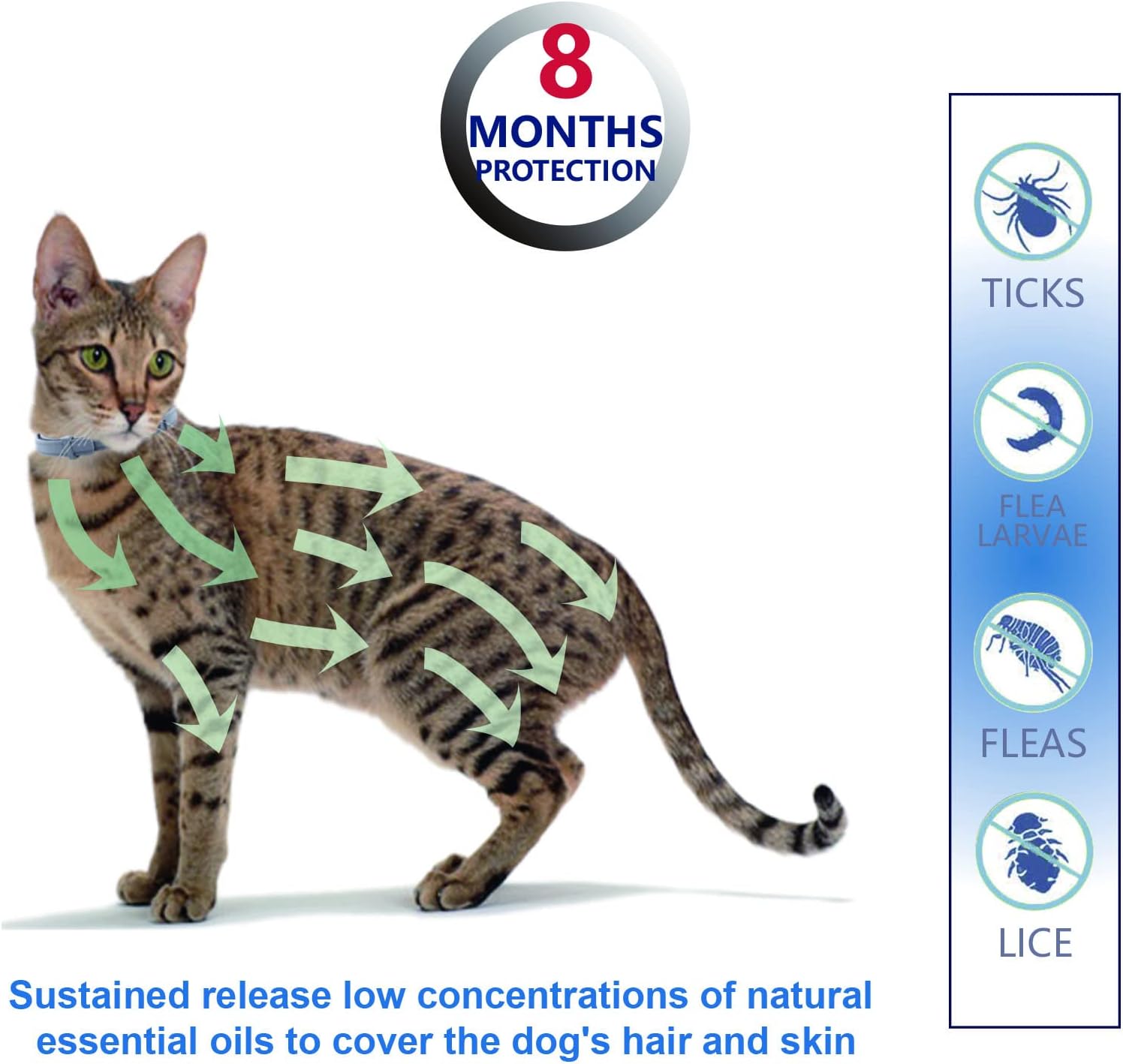 Collar natural y seguro para pulgas y garrapatas para perros pequeños, protección de 8 meses, impermeable, 13.8 pulgadas, talla única, herramienta