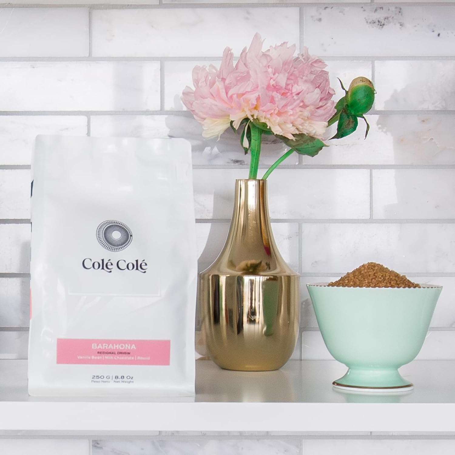 Colé Colé – Granos de café gourmet seleccionados a mano de Barahona, República Dominicana, café tostado medio tostado en Minneapolis (250 gms)