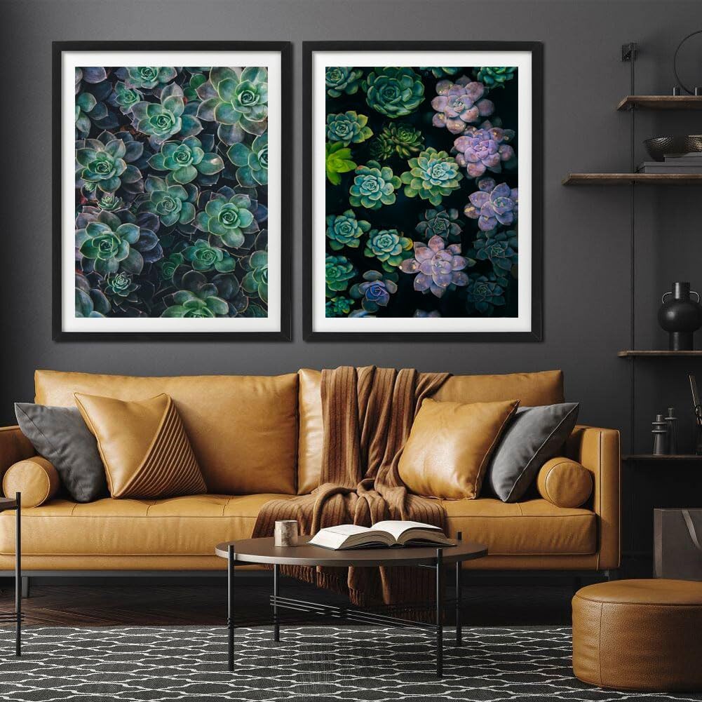 CHUNXIA Pintura por números para adultos, principiantes y niños, paquete de 2 lienzos enrollados de arte de pared, kit de pintura fácil por números,