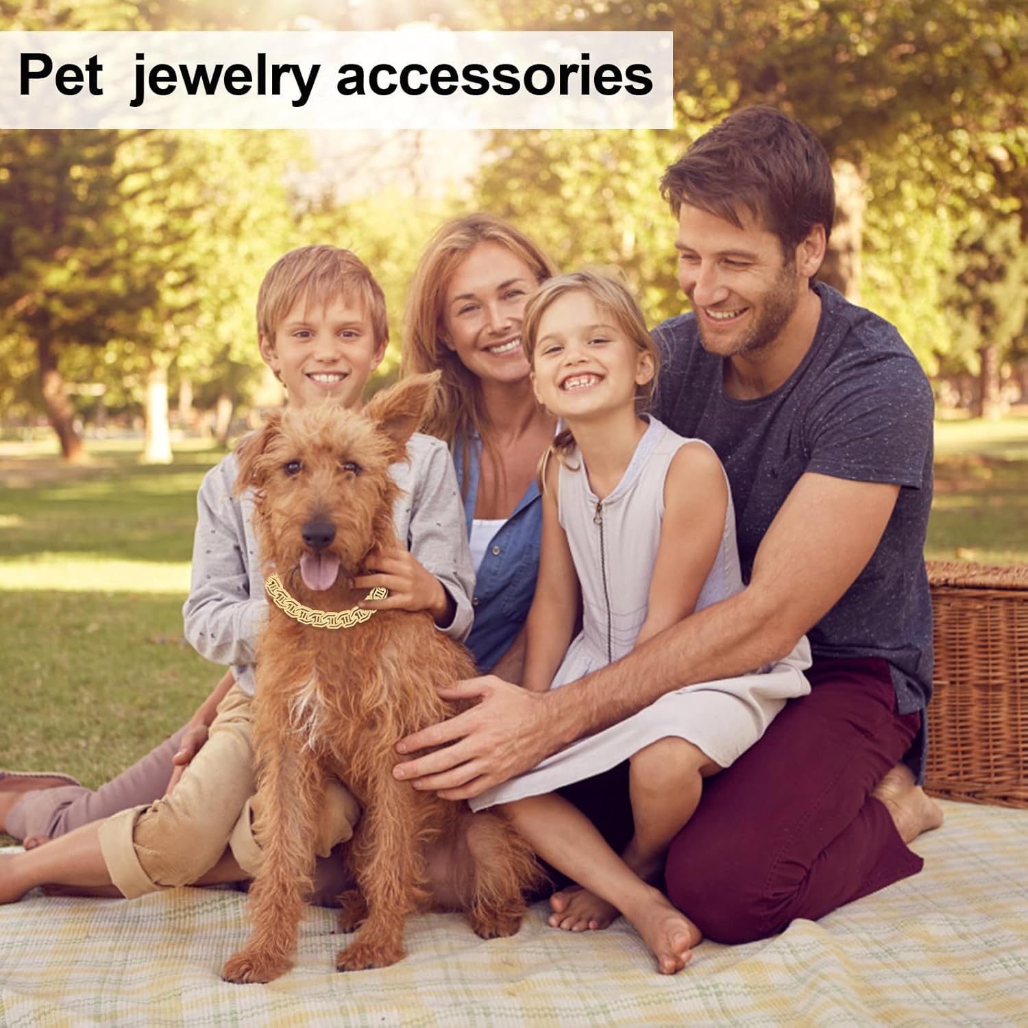 Collar de perro con diamantes con purpurina, collar de metal dorado con diseño de hebilla segura, accesorios de joyería para mascotas, para perros