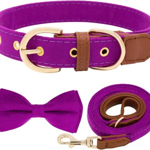 Juego de collar y Laesh para perro, collar ajustable con lazo para perro, correa y collares de cuero suave para cachorros pequeños, medianos y Juego de collar y Laesh para perro, collar ajustable con lazo para perro, correa y collares de cuero suave para cachorros pequeños, medianos y
