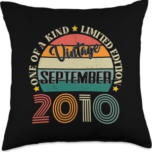 14 Year Old Vintage September 2010 14th Birthday Retro Throw Pillow, 18×18, Multicolor 14 Year Old Vintage September 2010 14th Birthday Retro Throw Pillow, 18×18, Multicolor