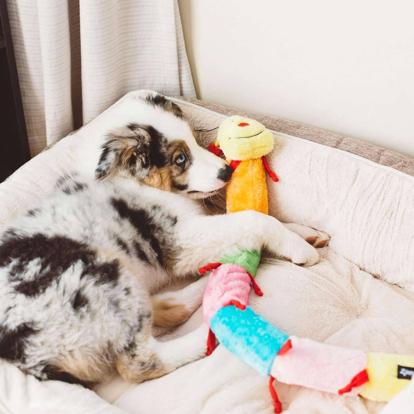 ZippyPaws – Colorido juguete de peluche chirriante de oruga para perros – Chirriadores de lujo