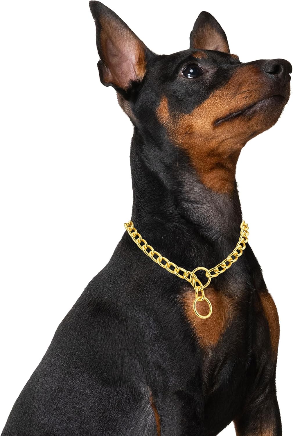 Mogoko Collar de cadena de acero inoxidable para perro, collar de metal para cachorros, collar deslizante de cadena en P para entrenamiento de