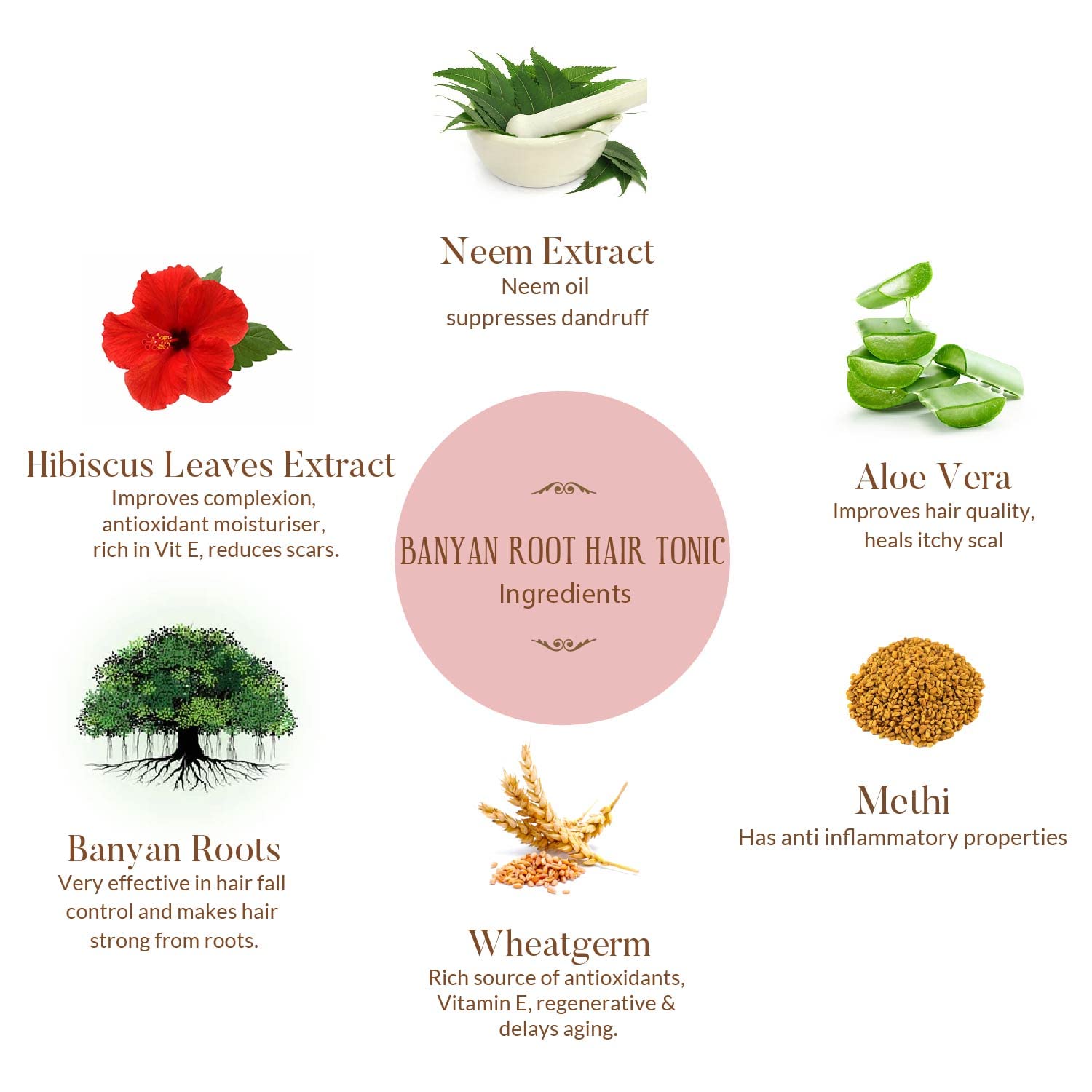 Ohria Ayurveda – Tónico para el cabello 100% natural de raíz de banyan para todo tipo de cabello, aceite para el cabello, 1.69 onzas líquidas