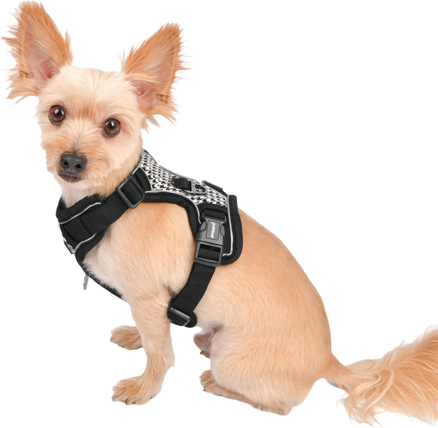 Puppia Conall – Arnés para perro con patrón de pata de gallo, resistente, ajustable, para cuello y pecho, reflectante para perros pequeños y