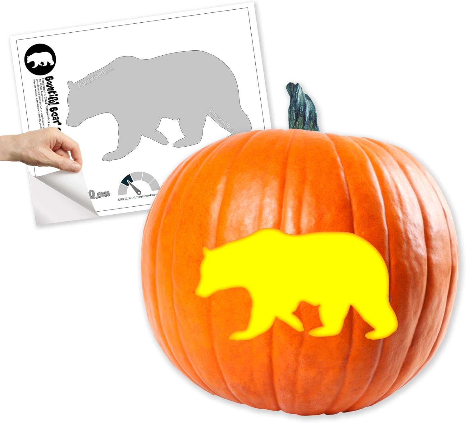 Bear Jack-O-Lantern – Plantilla para tallar calabaza  Brillo de oso abundante  Impreso en papel adhesivo Easycarve soluble en agua  Nivel de tallado