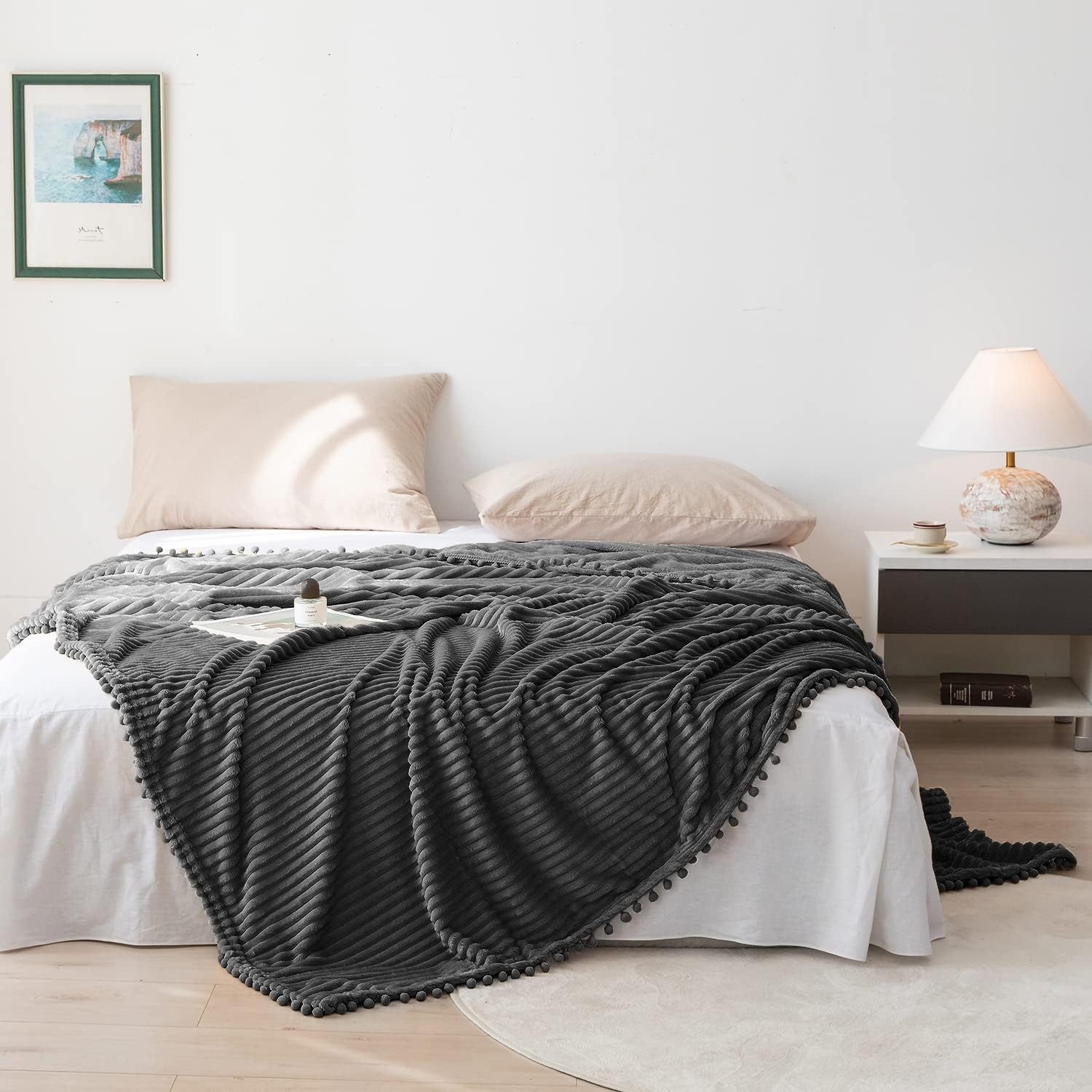 DISSA Manta de forro polar, 51×63 pulgadas, suave, de peluche, esponjosa, esponjosa, cálida, acogedora, perfecta para sofá, cama, con flecos de