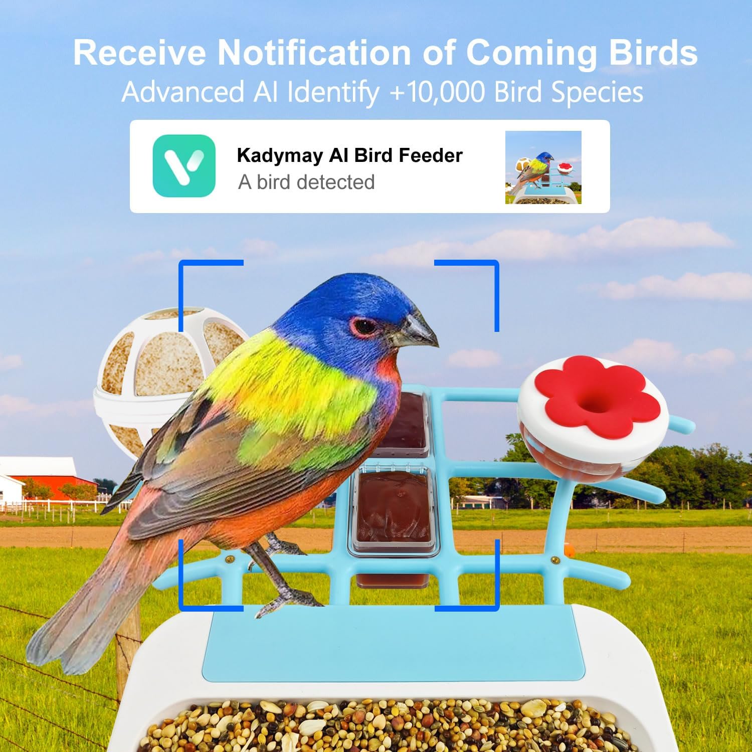 Comedero inteligente para pájaros con cámara alimentada por energía solar, video en vivo HD de 1080P y reproducción en teléfono, identificación AI