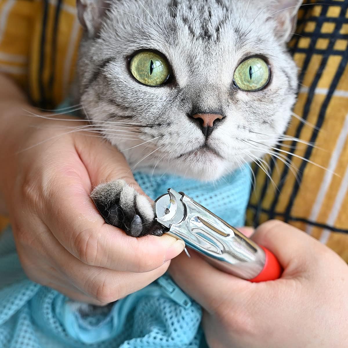 ATO-DJCX Cortauñas para perros y gatos, recortador de garras para mascotas, lima de uñas gratis, navaja de acero inoxidable, cuchilla afilada,