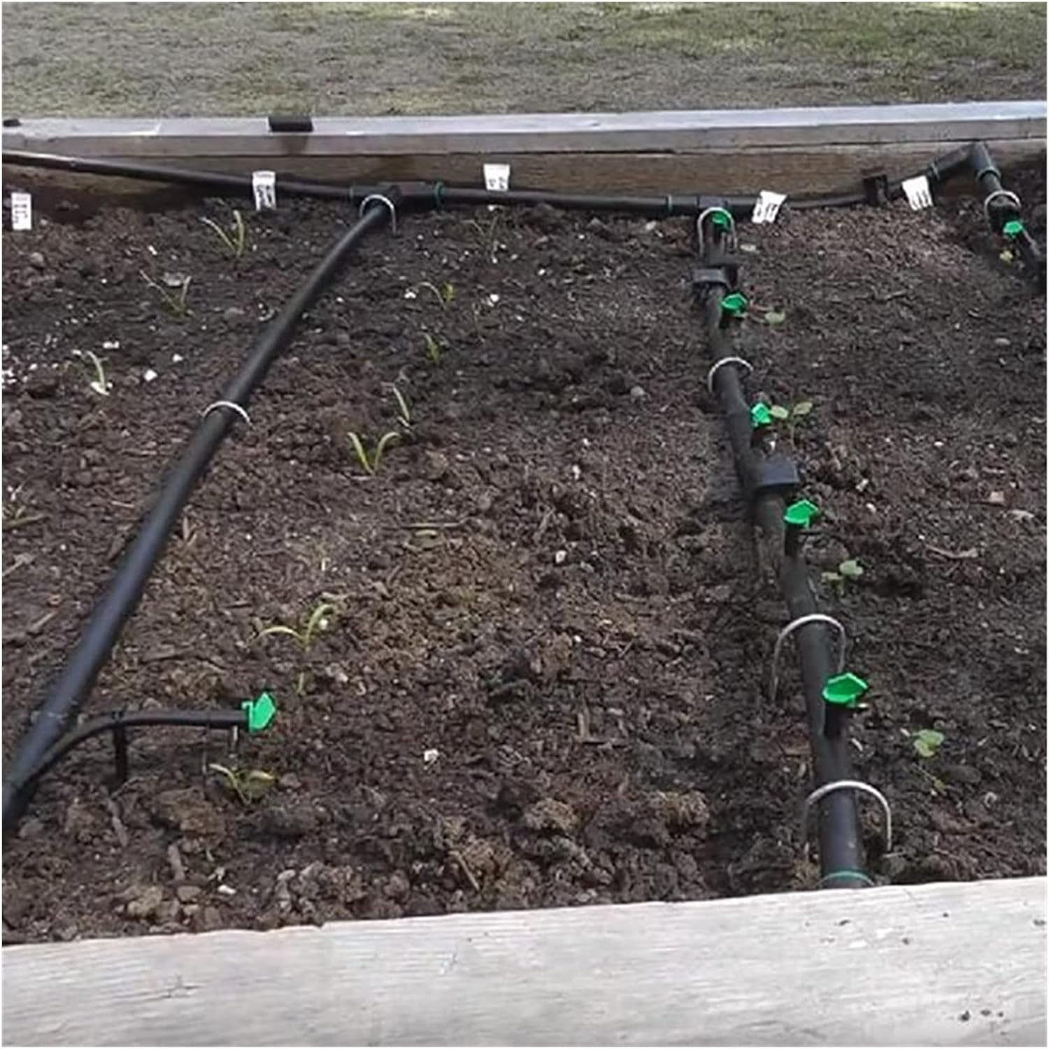 WANGXIAYYDS Aspersor de jardín, 200 unidades, 4L, 8L, 16L, bandera, emisores de goteo para invernadero agrícola, microemisores de riego por goteo,