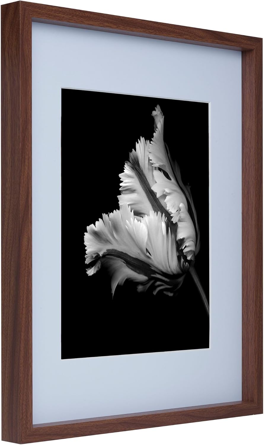 Mikasa Wood Gallery – Marco de pared de 16 x 20 pulgadas, mate a 11 x 14, 17 x 1.57 x 21 pulgadas, nogal