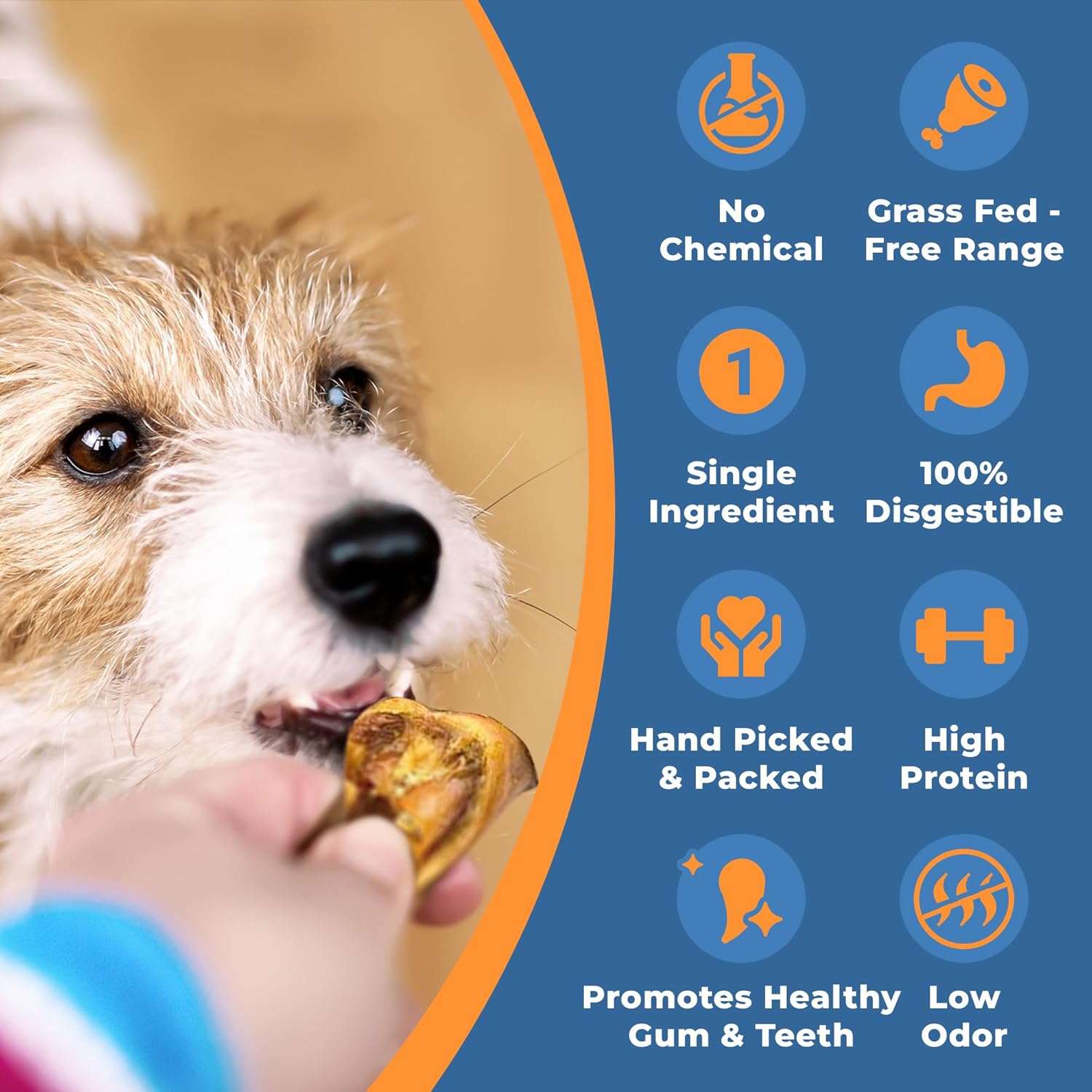 K9warehouse – Tiras de orejas de cerdo para perros – Rebanadas de orejas de cerdo naturales de una libra – Golosinas para perros para cachorros,