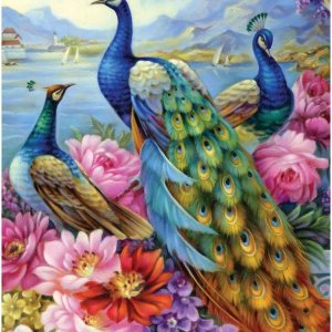 Bits and Pieces – Rompecabezas de 300 piezas para adultos Rompecabezas de 300 piezas grandes ‘Peacocks’ por el artista Oleg Gavrilov – 18 x 24 Bits and Pieces – Rompecabezas de 300 piezas para adultos Rompecabezas de 300 piezas grandes ‘Peacocks’ por el artista Oleg Gavrilov – 18 x 24