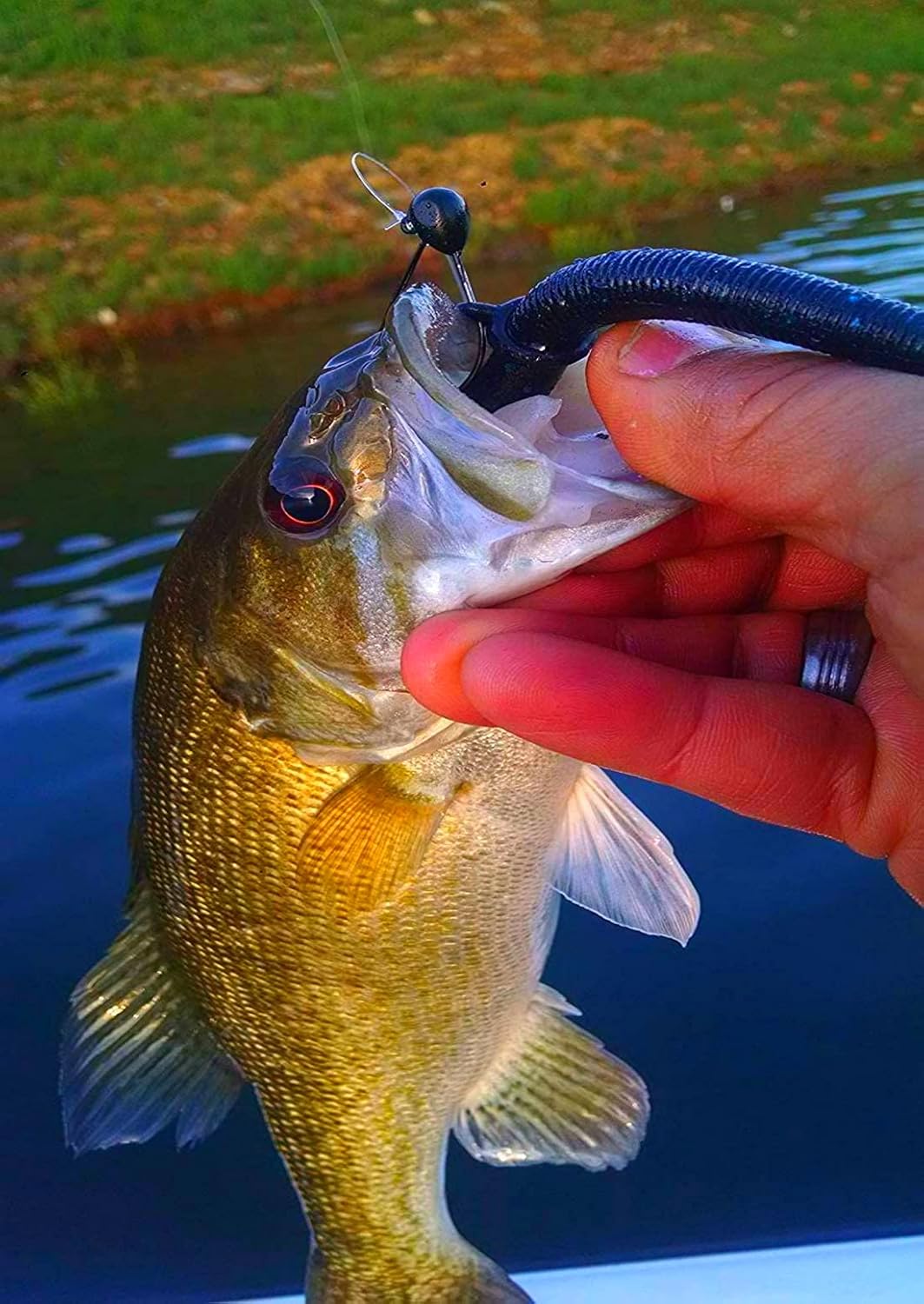 Sink-O-Ring Wacky Rig Kit de anillo tórico sin necesidad de herramientas, uso senko gusanos que brillan en la oscuridad, ganchos de pesca fáciles de