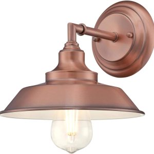 Westinghouse Lighting 6344700 – Lámpara de techo, diseño para un foco., 6370400 Westinghouse Lighting 6344700 – Lámpara de techo, diseño para un foco., 6370400