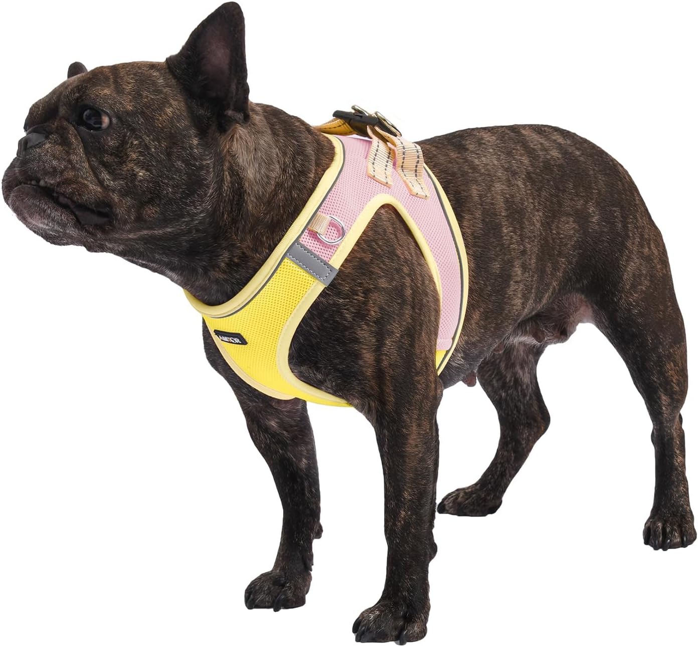 AMTOR Arnés para perro con correa, arnés reflectante ajustable sin tirones para cachorros con chaleco acolchado para perros y gatos