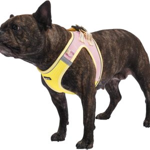 AMTOR Arnés para perro con correa, arnés reflectante ajustable sin tirones para cachorros con chaleco acolchado para perros y gatos AMTOR Arnés para perro con correa, arnés reflectante ajustable sin tirones para cachorros con chaleco acolchado para perros y gatos