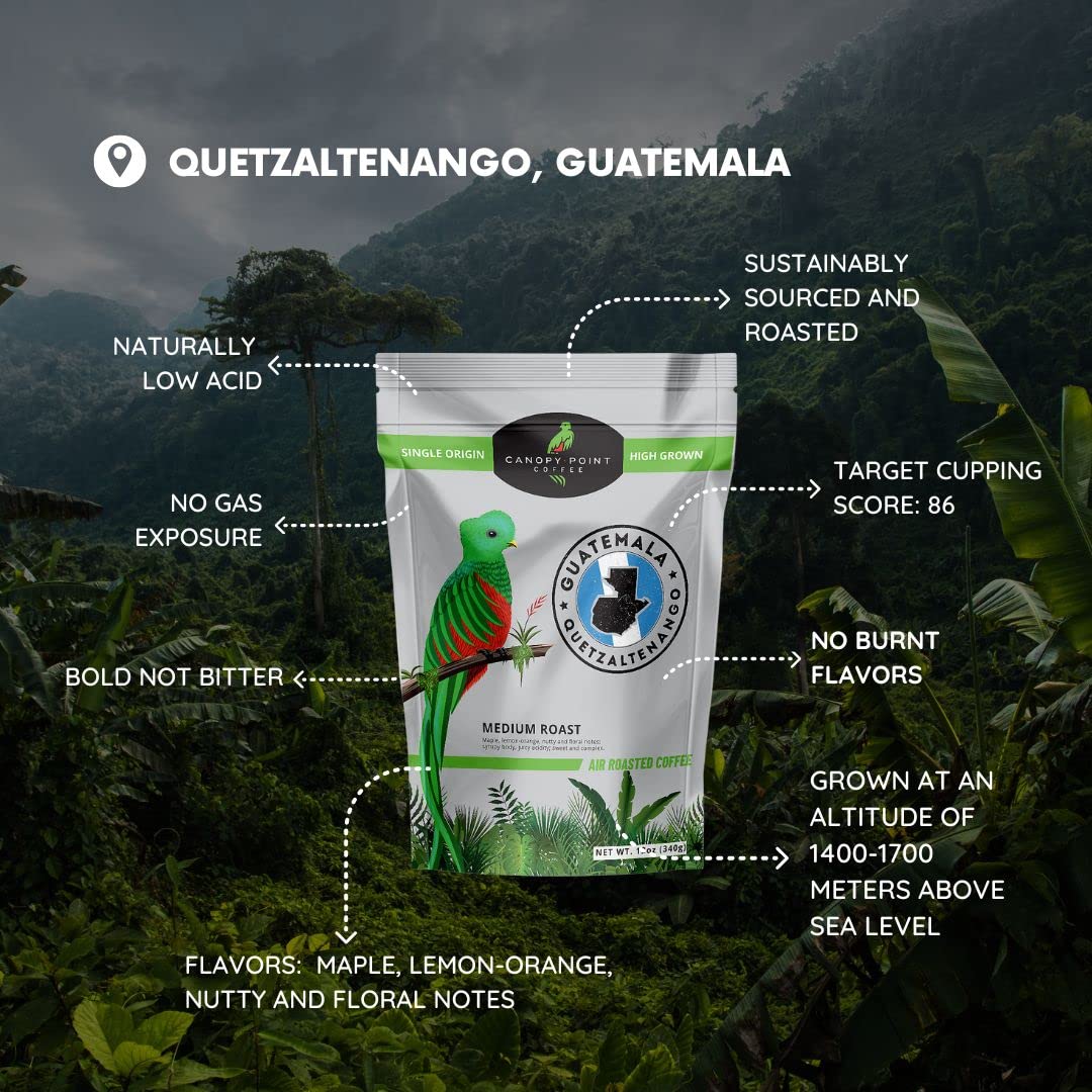 Canopy Point Coffee – Guatemala tostado medio – Recién molido, origen único, café tostado al aire especial en lotes pequeños, tostado medio gourmet,