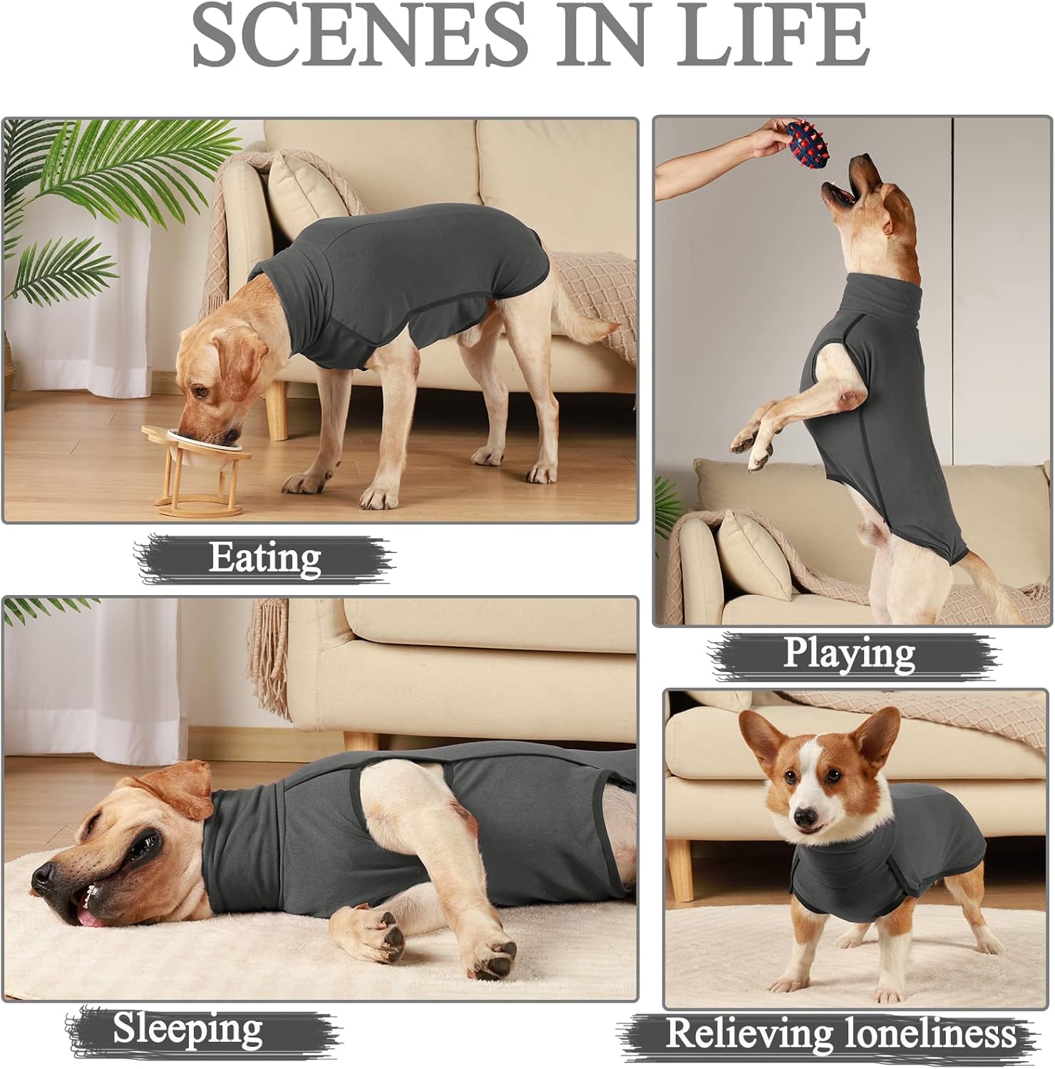 ROZKITCH Abrigo de invierno para perro, pijama suave para mascotas, resistente al viento, chaqueta cálida para clima frío, chaleco acogedor, ropa